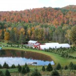 Evergreen Seedling Nursery