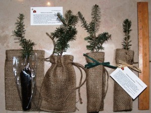 Seedling favors in burlap bags