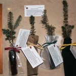 Blue Spruce Seedlings packaged different ways