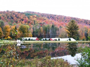 View from the bridge across the pond mouth