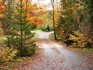 Crossing the bridge over Jenkins Brook after the entrance