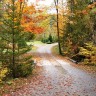 FALL FOLIAGE PICTORAL TOUR OF REDROCK FARM