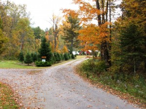 Beginning of  our driveway to the right