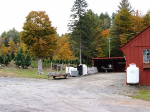 Work and parking area in front of the Christmas tree shed and greenhouses