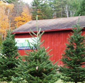 Our Trees for Troops banner