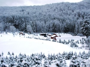 Snow on Redrock Farm taken Decemeber 12, 2015