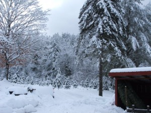 Snow on Redrock Farm taken Decemeber 12, 2015