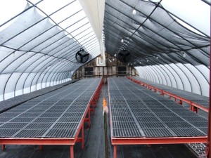 SUPER CLEAN GREENHOUSE